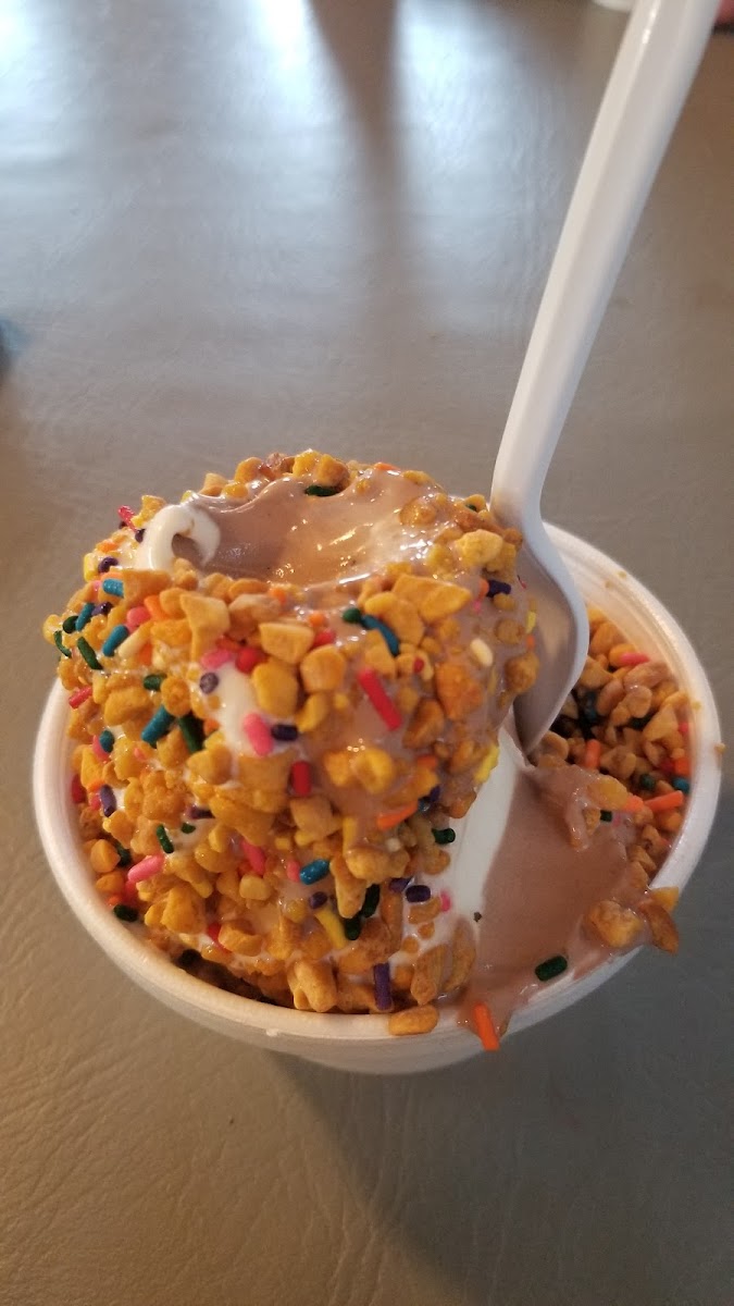 Whippy-Dip Crittenden
